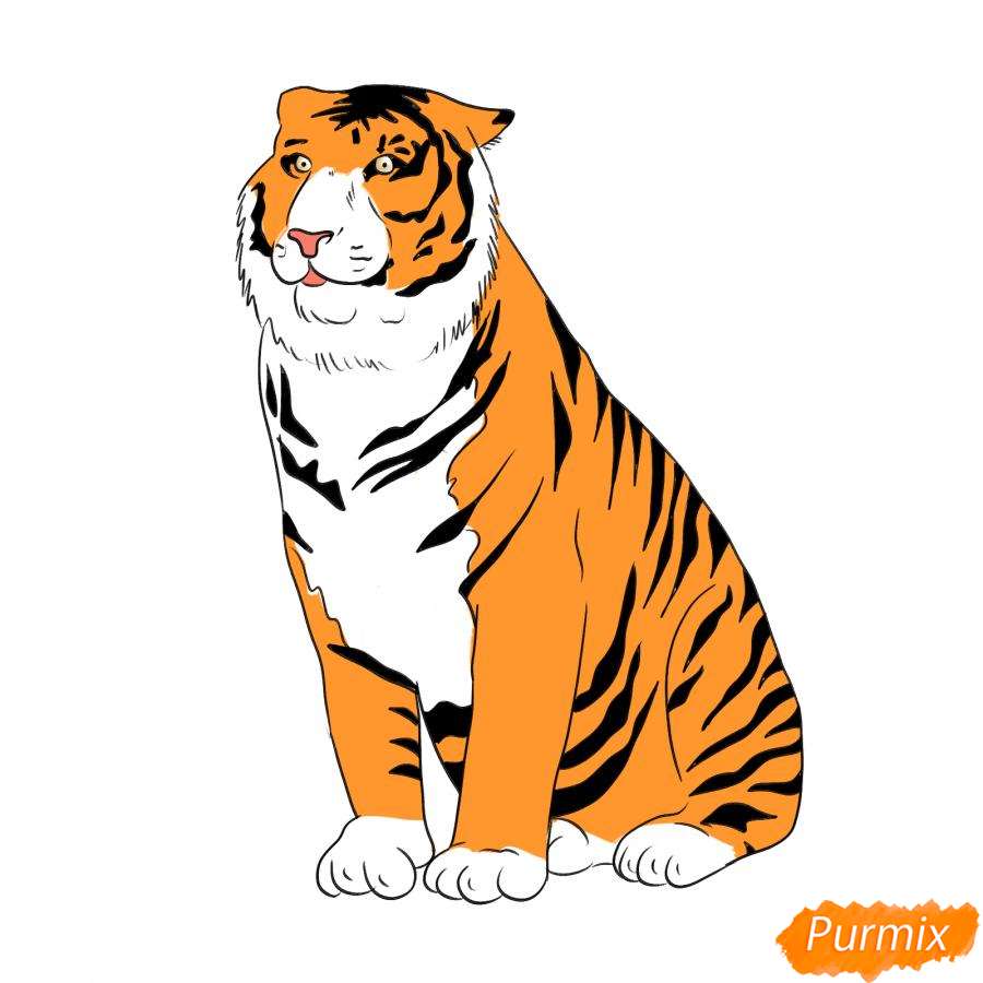 Рисунок амурского тигра карандашом - шаг 7