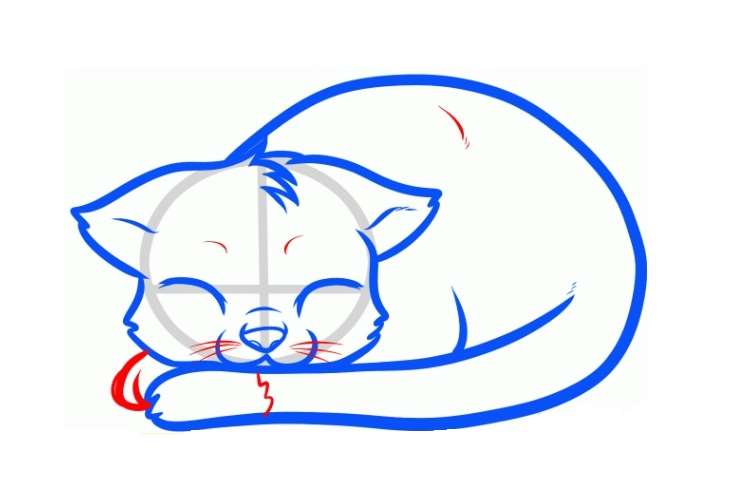 Рисование спящей кошки
