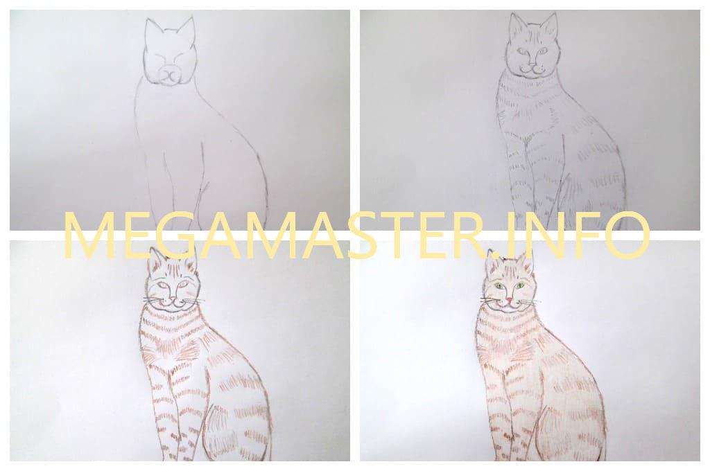 Рисование кошки карандашом (Шаг 3)