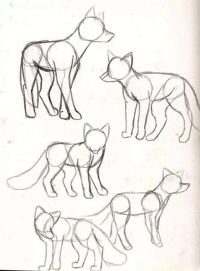 Нарисованная лиса.