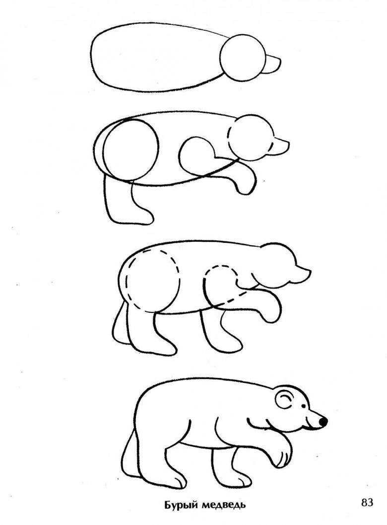 Рисование медведей