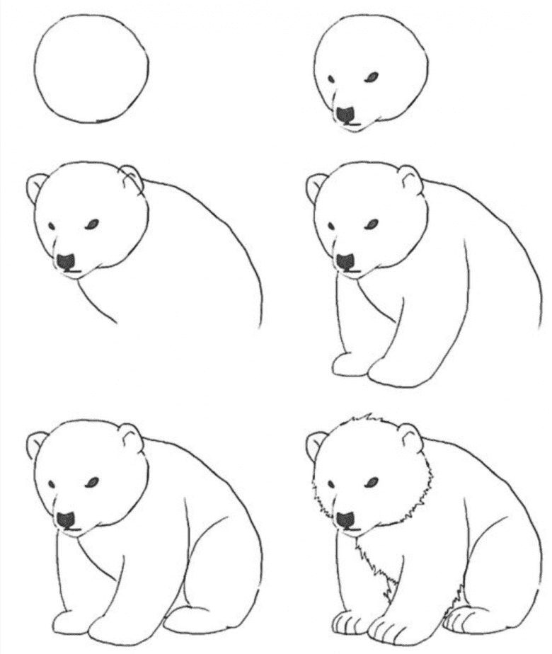 Рисование медведей