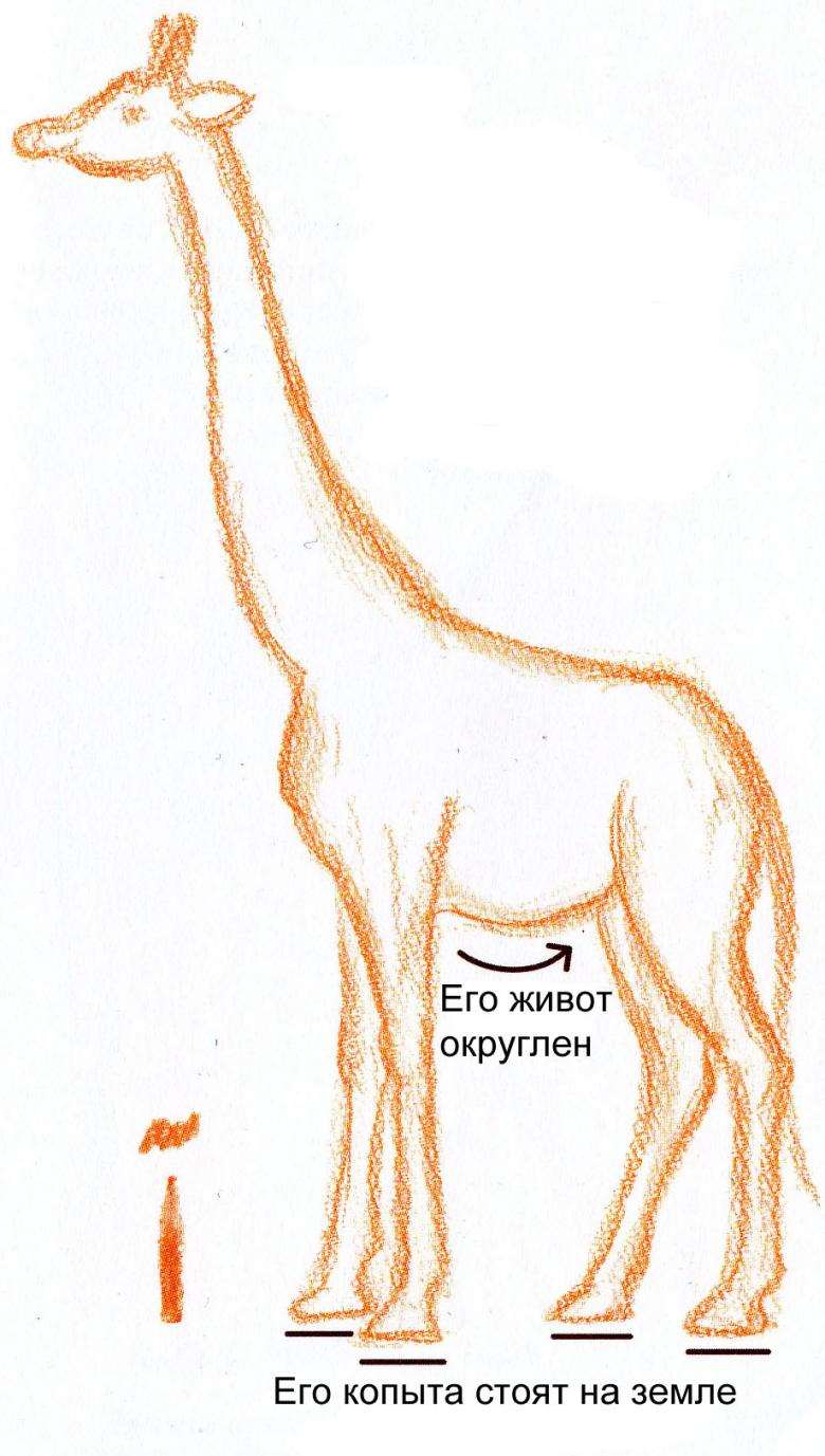 Расписной жираф