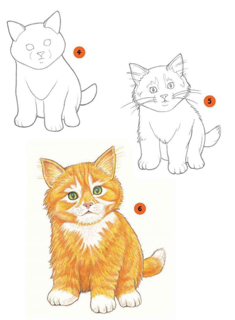 Привлеченная кошка