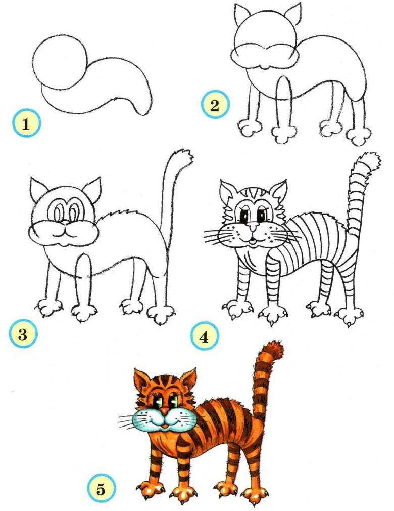Привлеченная кошка