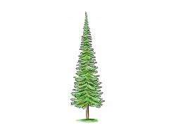 Фото FIR