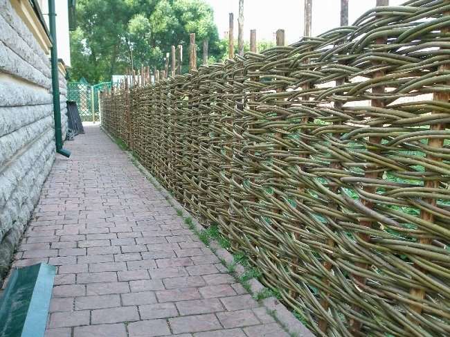 Изгородь из ивовых веток