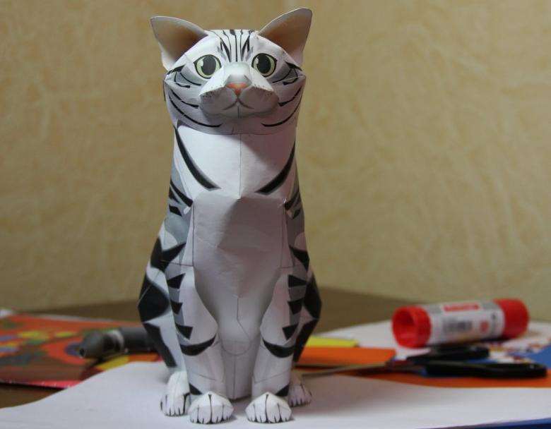 DIY поделки для кошек