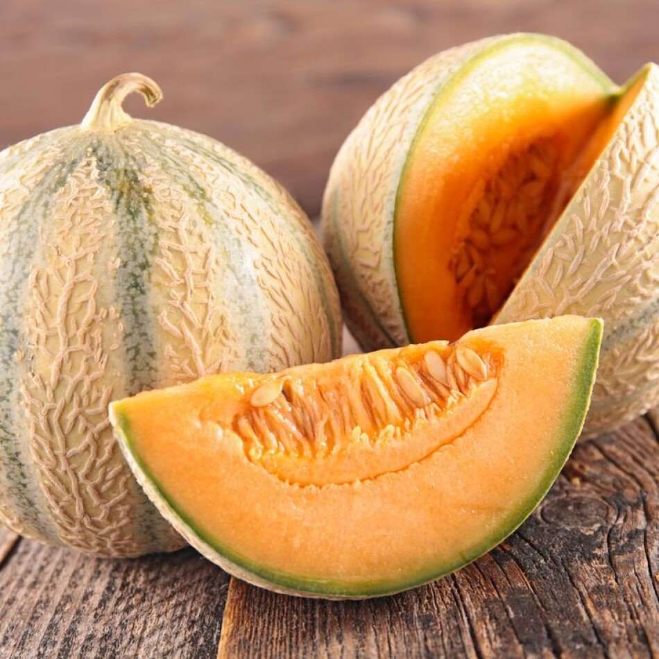 Дыни