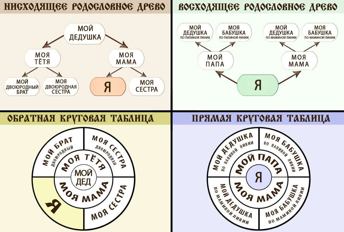 Типы семейных деревьев