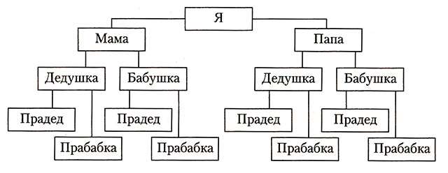Как составить родословную: где искать информацию, как нарисовать генеалогическое дерево. Что такое планирование родословной и поколенная роспись? Примеры созданных картин.