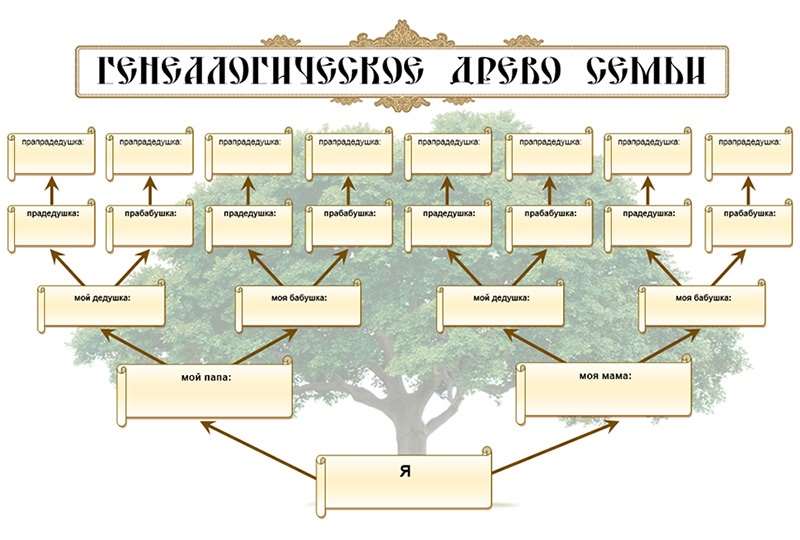 Как составить родословную: где искать информацию, как нарисовать генеалогическое дерево. Что такое планирование родословной и поколенная роспись? Примеры созданных картин.