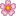 🌸
