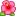 🌺